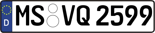 MS-VQ2599