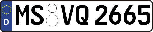 MS-VQ2665