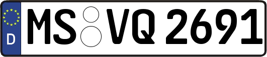 MS-VQ2691