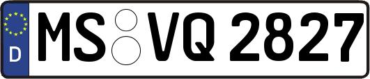 MS-VQ2827