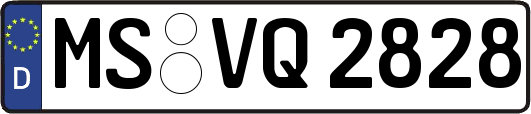 MS-VQ2828