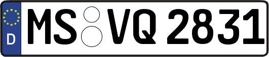 MS-VQ2831