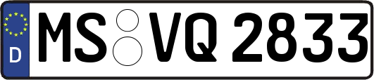 MS-VQ2833
