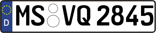 MS-VQ2845