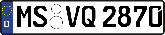 MS-VQ2870