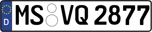 MS-VQ2877