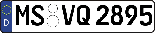 MS-VQ2895