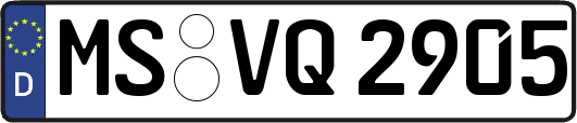 MS-VQ2905