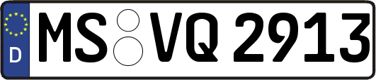 MS-VQ2913