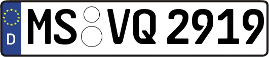 MS-VQ2919
