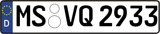 MS-VQ2933