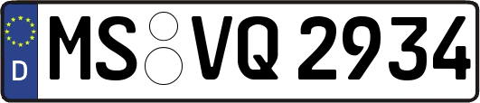 MS-VQ2934