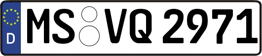 MS-VQ2971