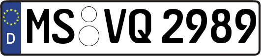 MS-VQ2989