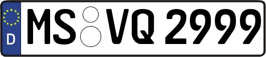 MS-VQ2999