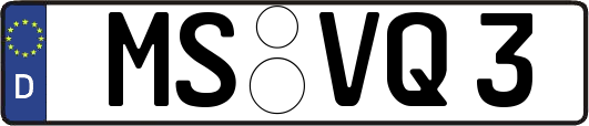 MS-VQ3