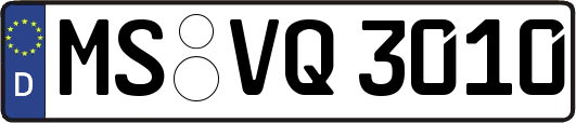 MS-VQ3010