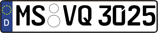 MS-VQ3025