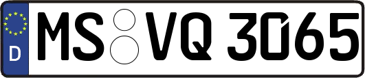MS-VQ3065