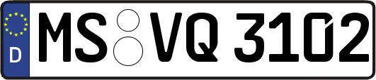 MS-VQ3102