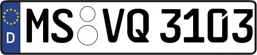 MS-VQ3103