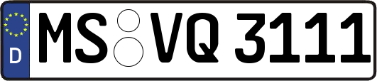 MS-VQ3111