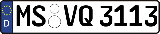 MS-VQ3113