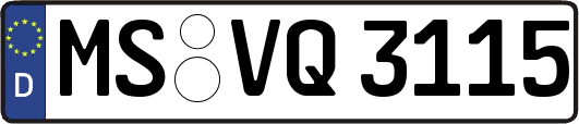 MS-VQ3115