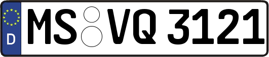 MS-VQ3121
