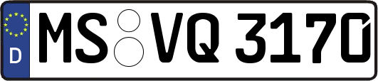 MS-VQ3170