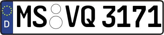 MS-VQ3171
