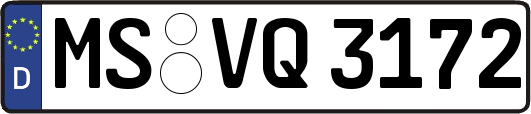 MS-VQ3172
