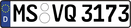 MS-VQ3173