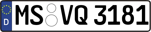 MS-VQ3181