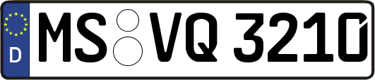 MS-VQ3210