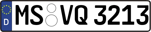 MS-VQ3213