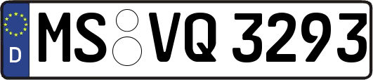 MS-VQ3293