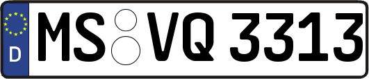 MS-VQ3313