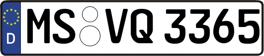 MS-VQ3365