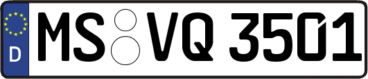 MS-VQ3501