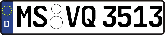 MS-VQ3513
