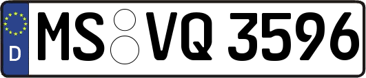 MS-VQ3596