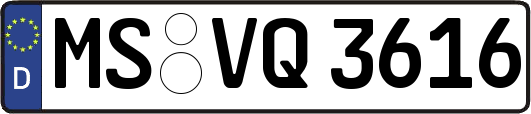 MS-VQ3616