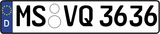 MS-VQ3636