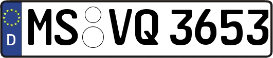 MS-VQ3653