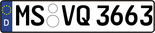 MS-VQ3663