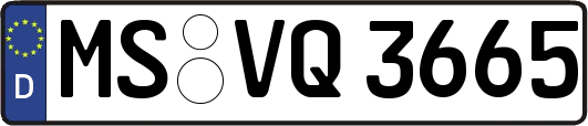 MS-VQ3665