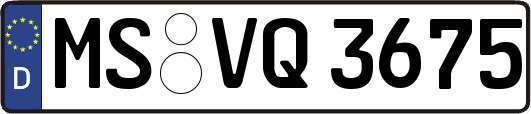 MS-VQ3675