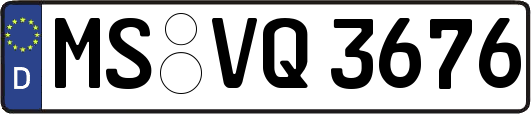 MS-VQ3676