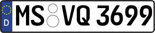 MS-VQ3699